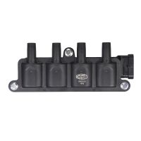 Block ignition coil double ignition coil for 4 plugs without cable set
