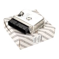 Injection system engine control unit