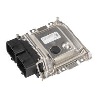 Injection system control unit