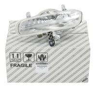 Day driving light left