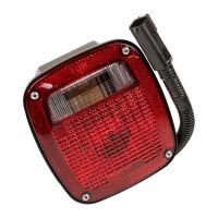 Left rear light