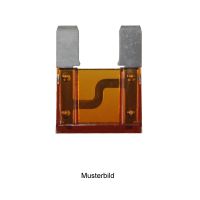 Fuse 30 A large
