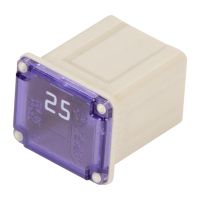 25 A fuse