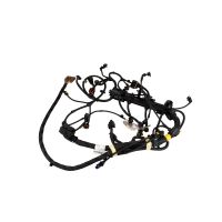 Cable harness injection 3.0 JTD Euro 5