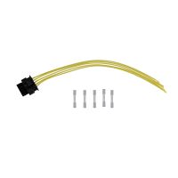 Rep. Plug for EGR valve