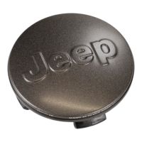 wheel hub cap