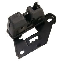 Tailgate latch tailgate