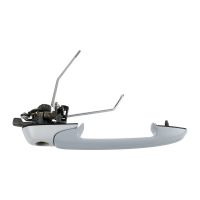 Door handle in front right