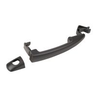 Front left door handle