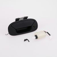 Door handle rear door with tailgate