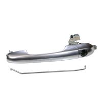 Door handle front left chrome