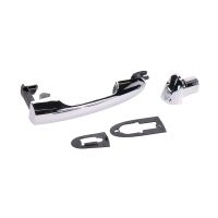 Door handle chrome left rear