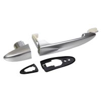 Door handle aluminium look front right