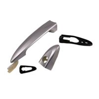Door handle aluminium look front left