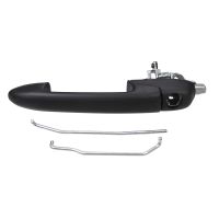 Door handle front left