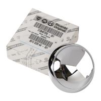 Door handle inside front left chrome trim