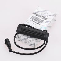 Electric handle tailgate