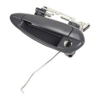 Left front door handle