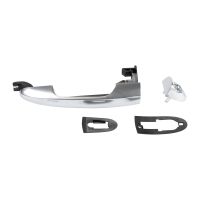 Left front door handle