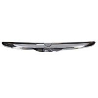 Door handle for the tailgate, trunk door handle