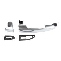 Door handle in front right