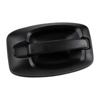 Door handle in front right