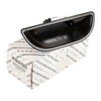 Front left door handle