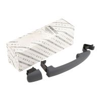 Front left door handle