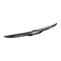 Door handle for the tailgate