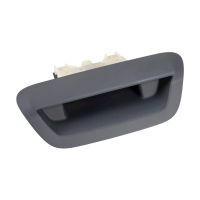 Tailgate door handle