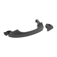 Front left door handle