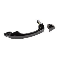 Front left door handle