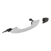 Rear left door handle