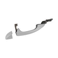 Front left door handle