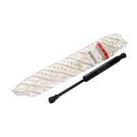 Gas spring for tailgate