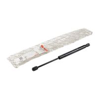 Gas spring for tailgate