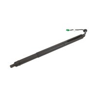 rear right gas spring