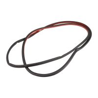 Profile rubber for the front door on the left