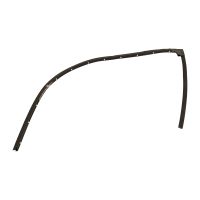 Door seal at the rear left