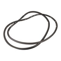 Front left door seal