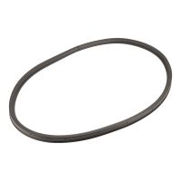 Rear left door seal