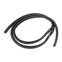 Front left door seal