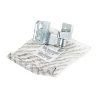 Door hinge lower left