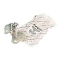 Door hinge in front left above