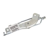 Rear door hinge right