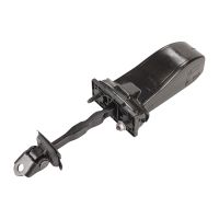 Rear door check strap