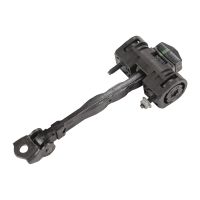 Rear door check strap