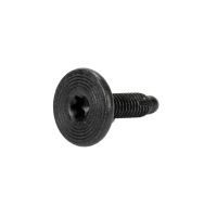 Torx T-30 M6 screw