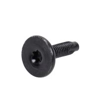 Screw Torx T-30 M6