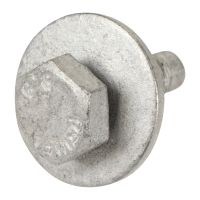 6-point screw with washer